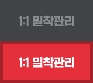 1:1 밀착관리