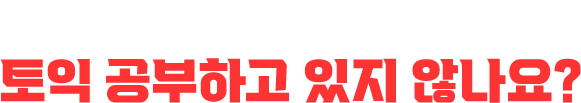 혹시 이런 식으로 토익 공부하고 있지 않나요?