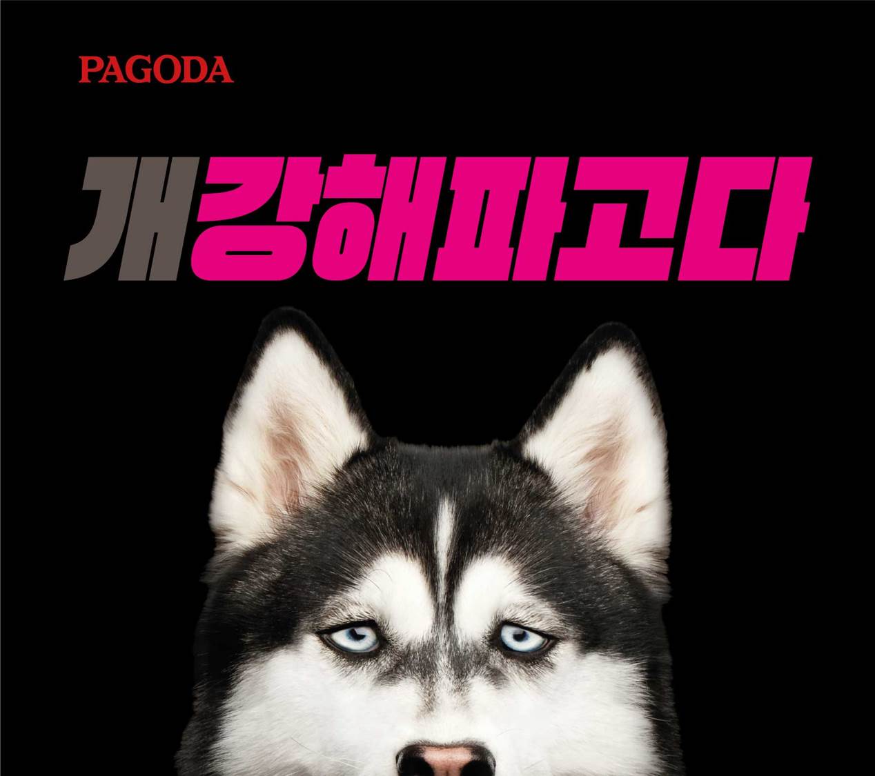[2021년 12월] 개강해 파고다}